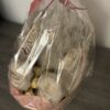 Peluche personnalisée